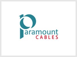 paramount cables — client logo